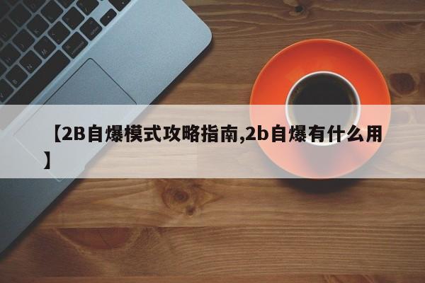 【2B自爆模式攻略指南,2b自爆有什么用】