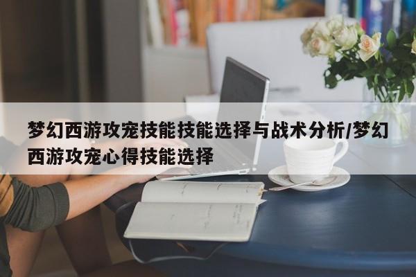 梦幻西游攻宠技能技能选择与战术分析/梦幻西游攻宠心得技能选择