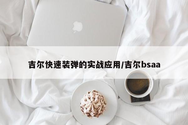 吉尔快速装弹的实战应用/吉尔bsaa