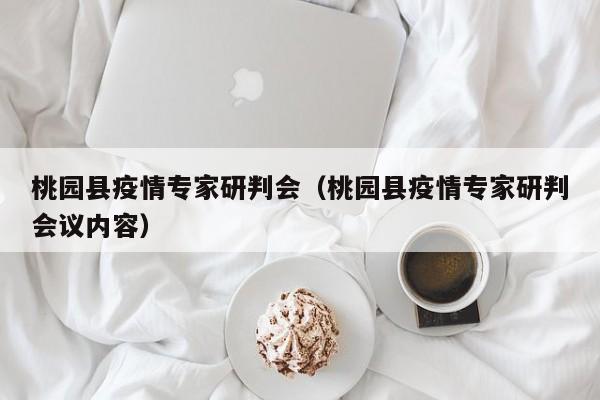 桃园县疫情专家研判会（桃园县疫情专家研判会议内容）
