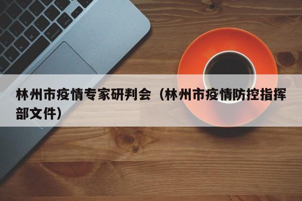 林州市疫情专家研判会（林州市疫情防控指挥部文件）